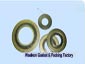 Spiral Wound Gasket